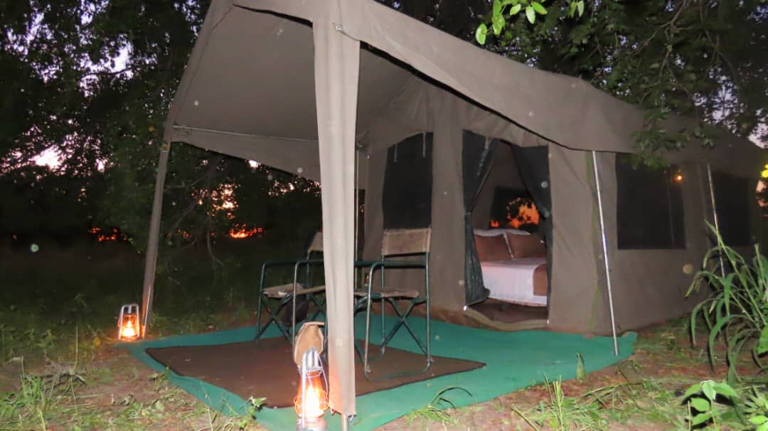 Shadreck Teenage Ntema