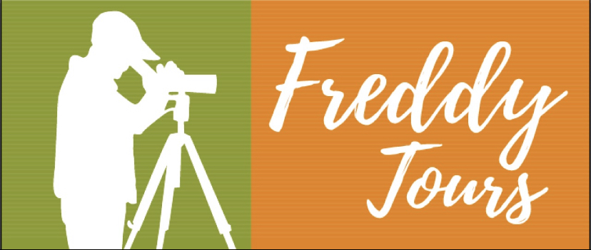 Freddy  Cascante Umana