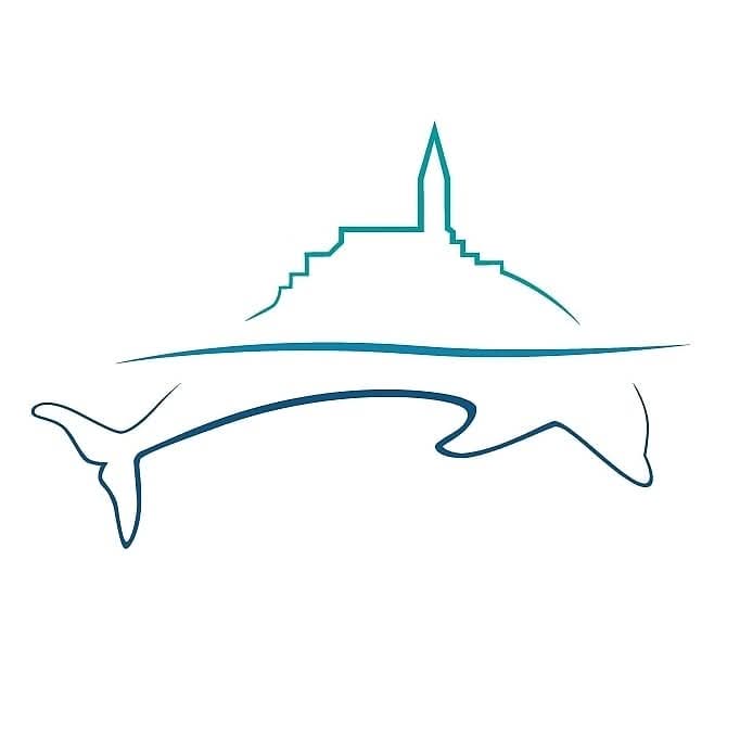 Rovinj Dolphin Watching