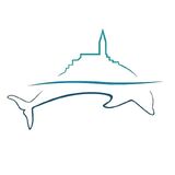 Rovinj Dolphin Watching