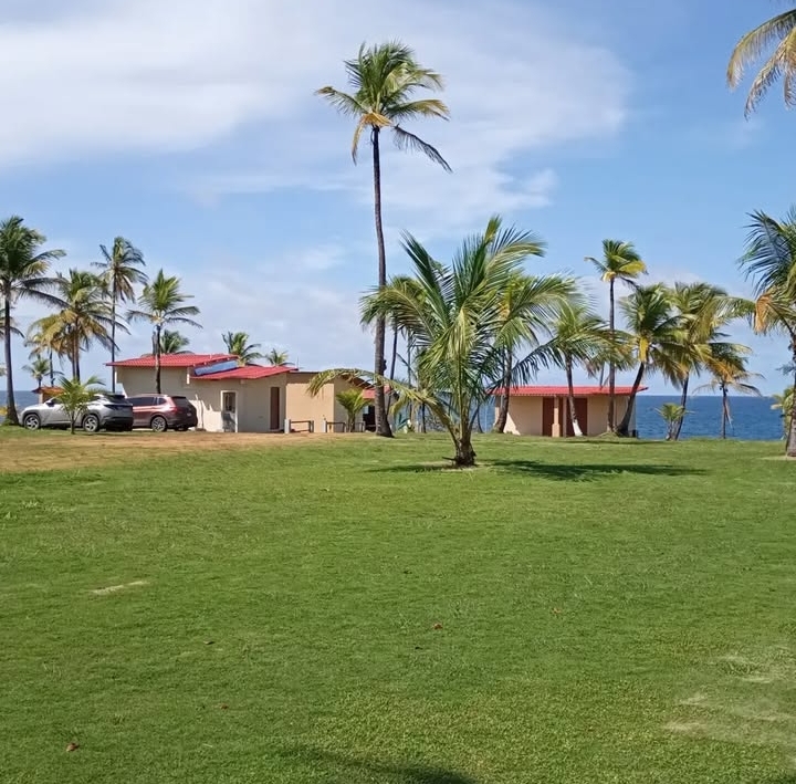 Nelson "Checho" Espinosa