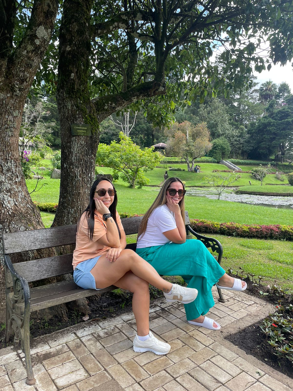 Sunny Ceylon Travels