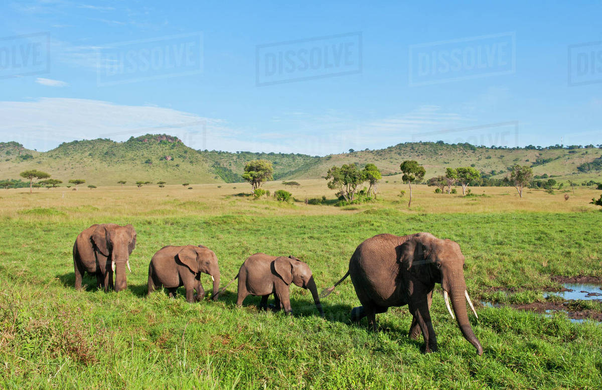 Inside Africa Travel Budget Sa