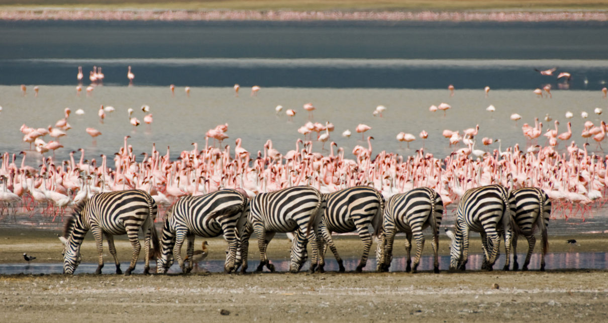 Inside Africa Travel Budget Sa