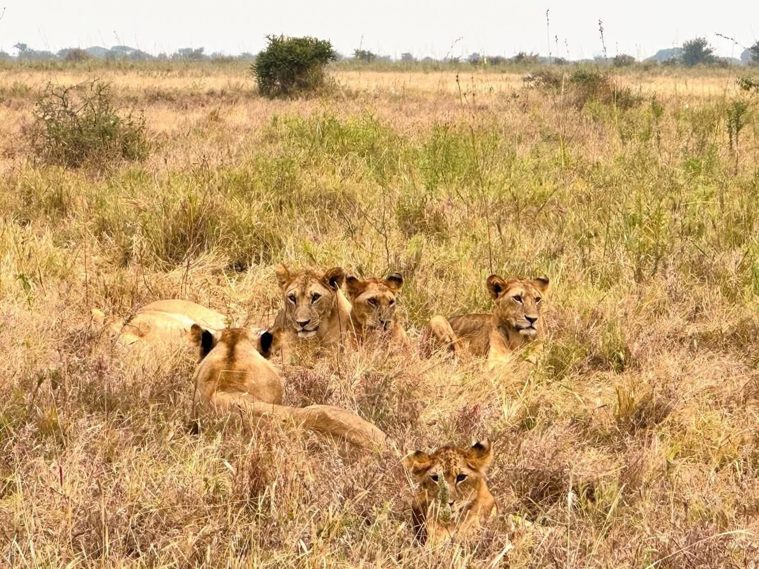 PEACH VACATIONS AND TRAVEL