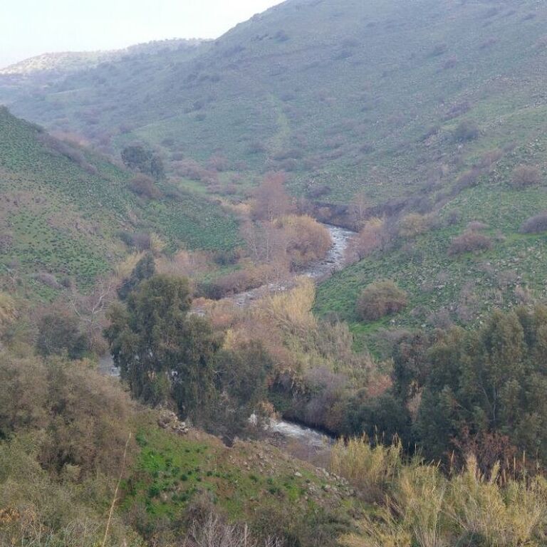 Israel Jeep Tourism