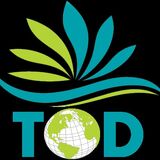 TOURS ON DEMANDS