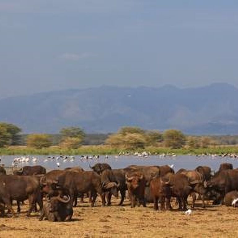 YHA Kenya Travel