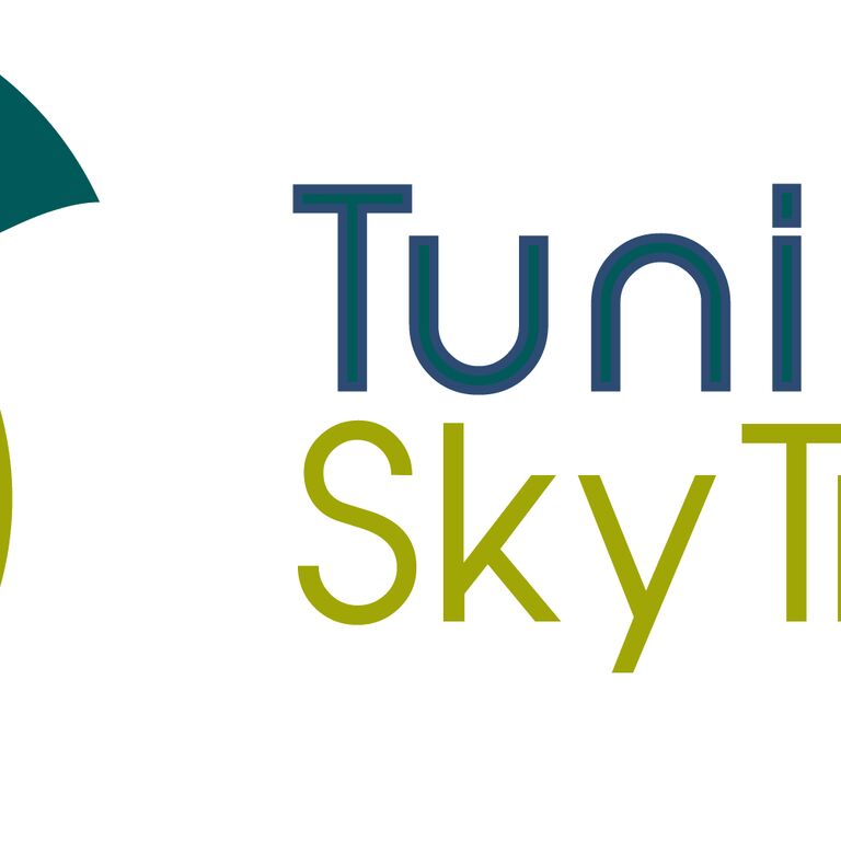 Tunisian Sky Travel