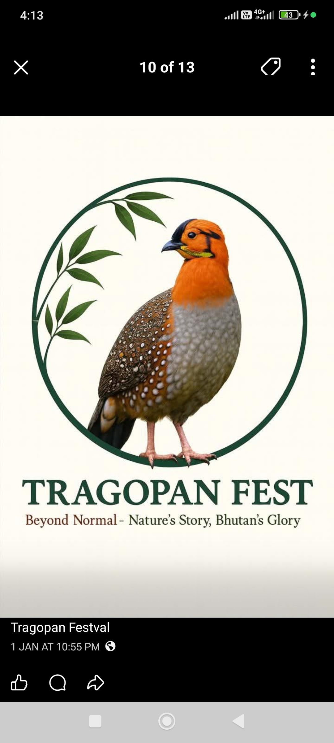 East Yang yoe tour and travels