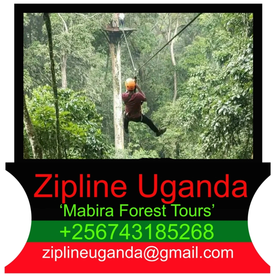 Zipline Uganda (Mabira Forest)