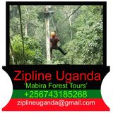 Zipline Uganda (Mabira Forest)