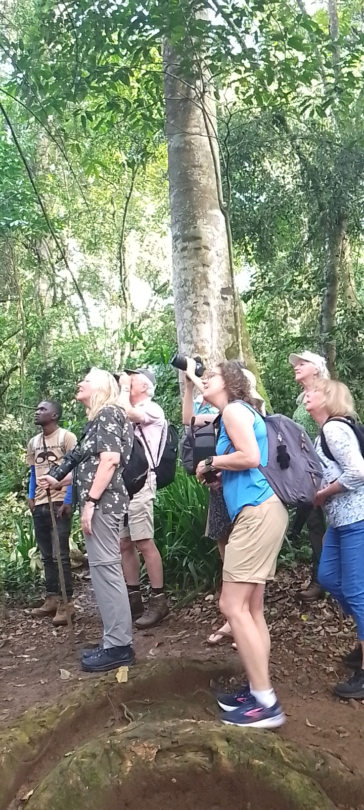 Mabira Forest Tours and Guides