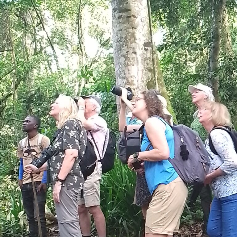 Mabira Forest Tours and Guides