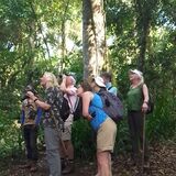 Mabira Forest Tours and Guides