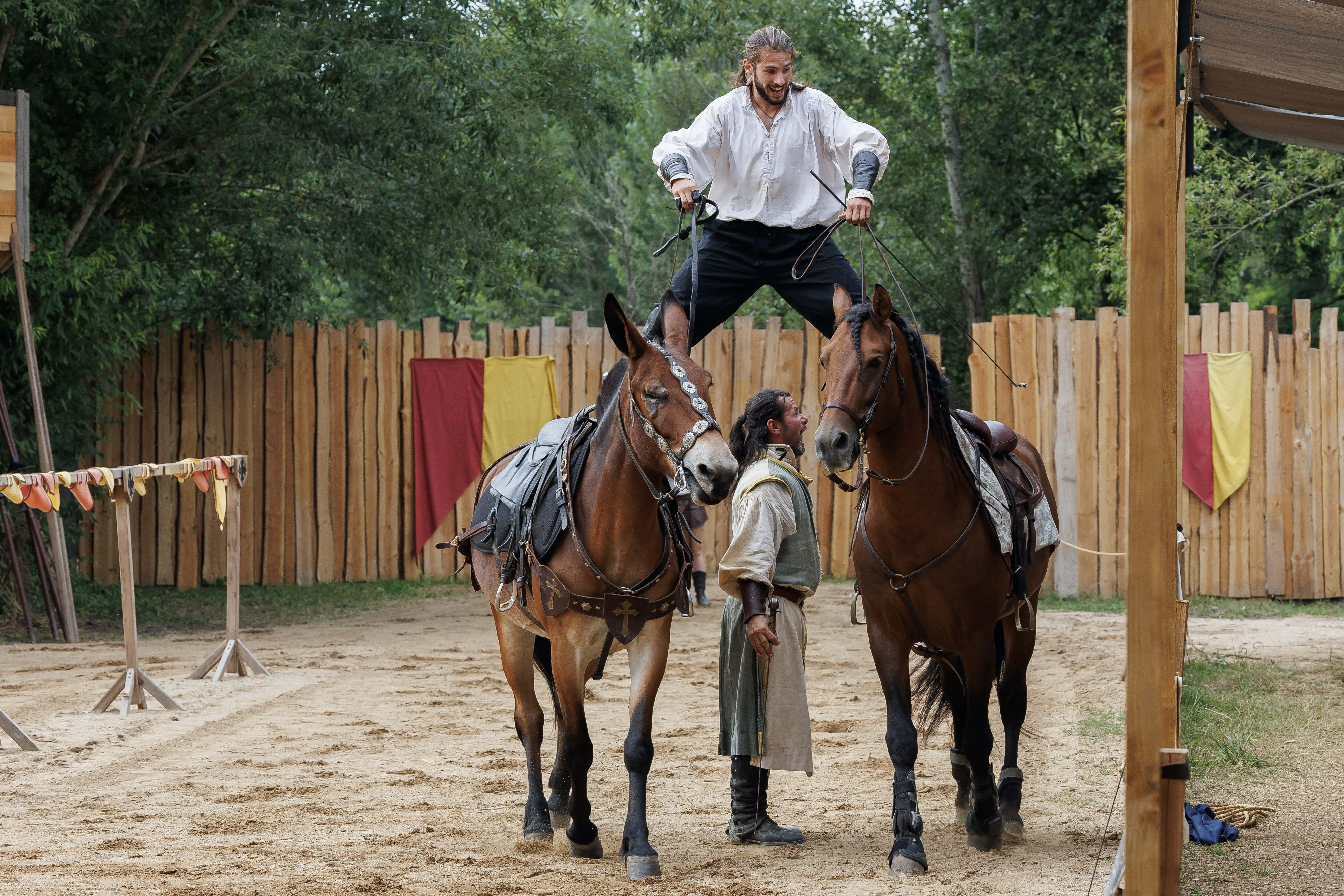 Spectacle de Chevalerie