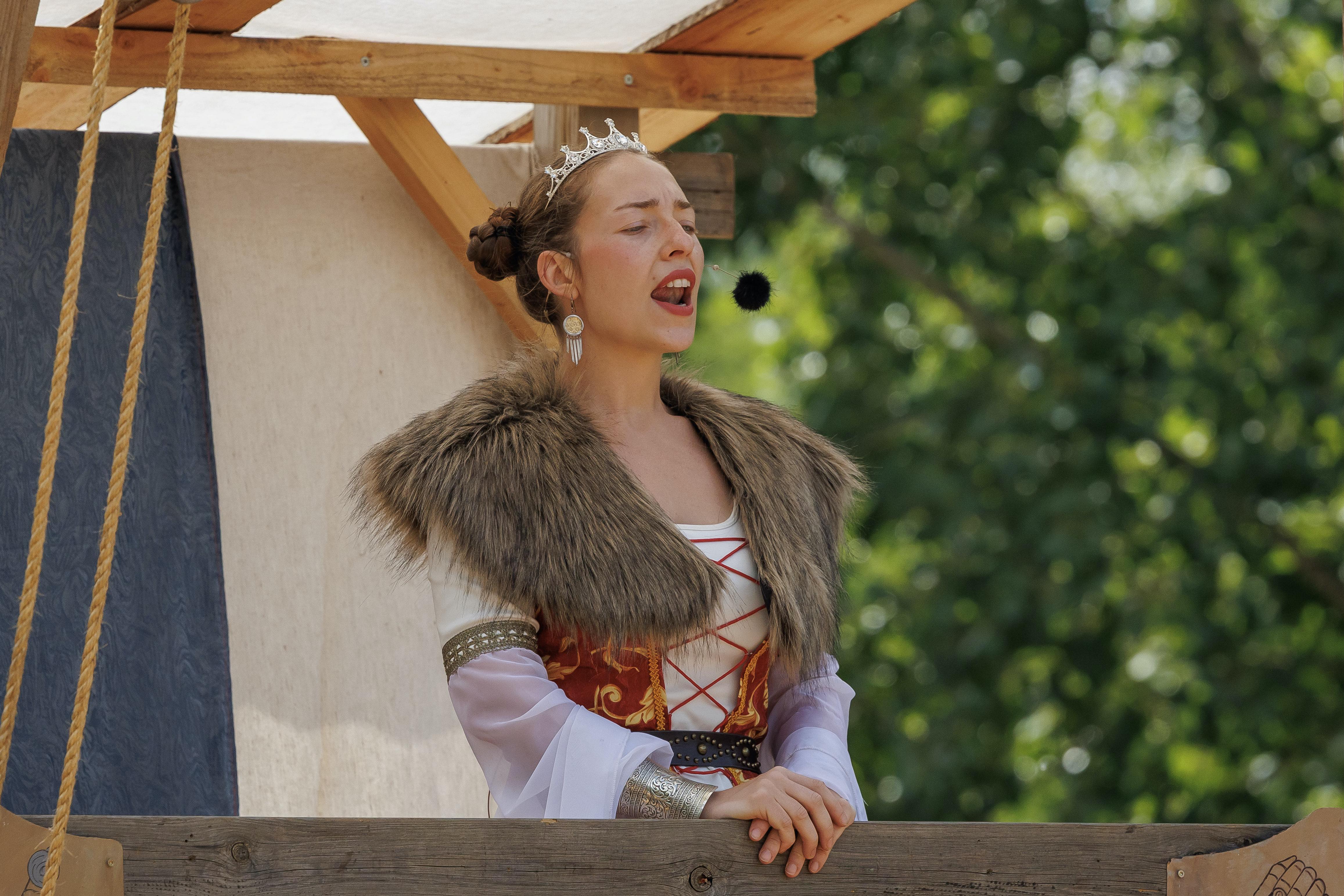 Spectacle de Chevalerie