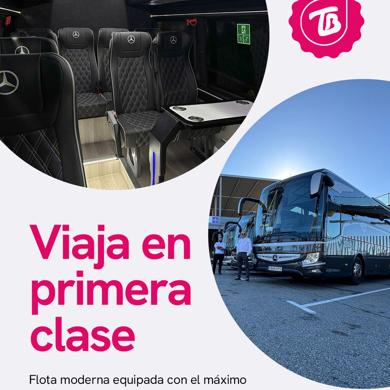 Minibus y autocares Torres Bus