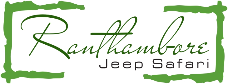 Ranthambore Jeep Safari