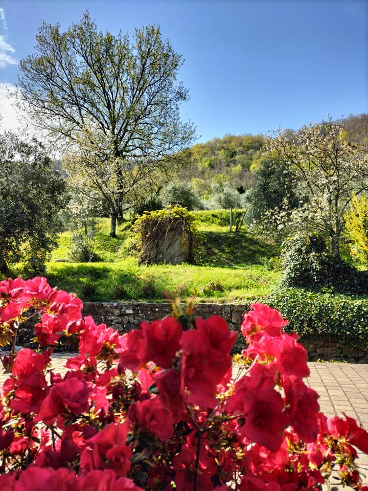 La Collina del Sole