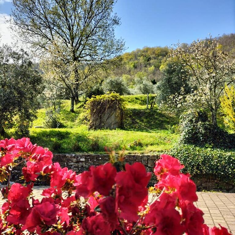 La Collina del Sole