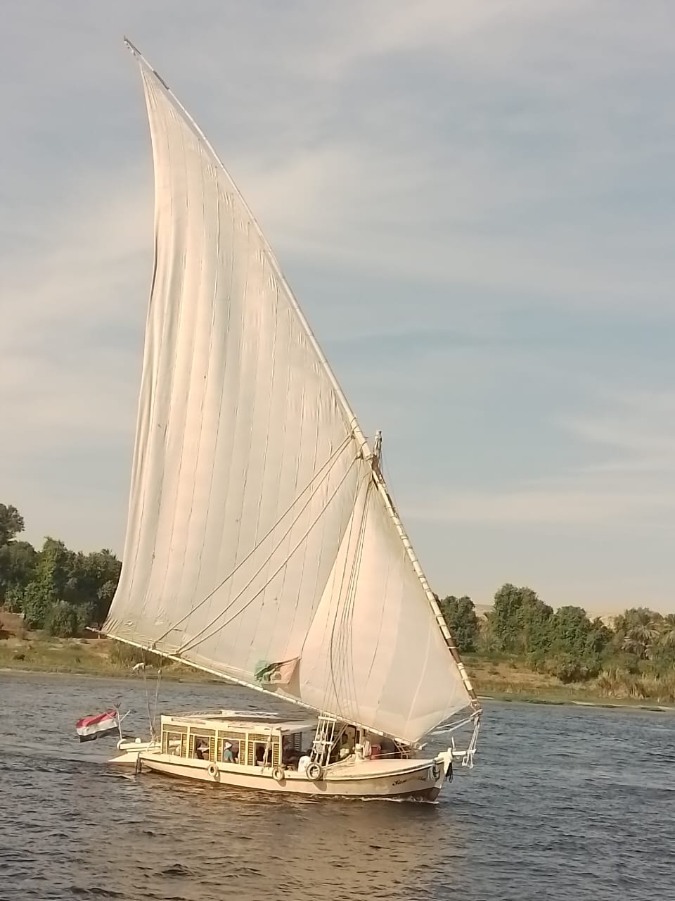 Nile Felucca Adventure