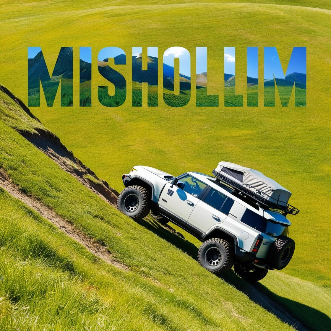 Misholim