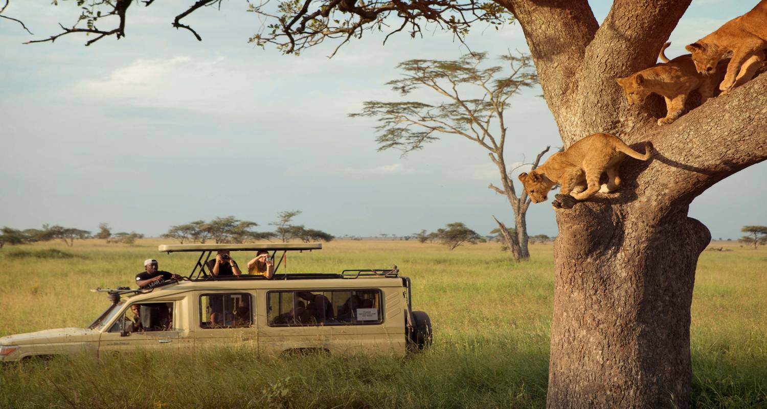 Matukio Adventures Limited