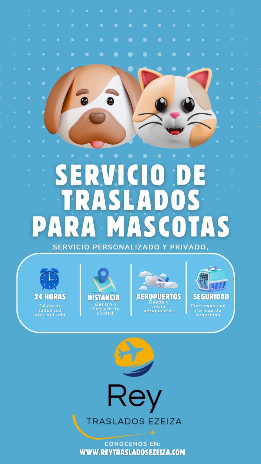 Rey traslados ezeiza