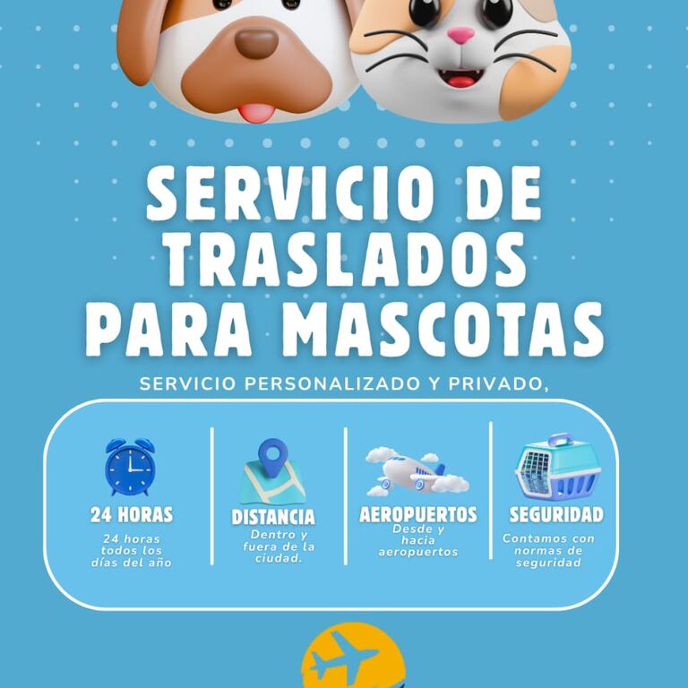 Rey traslados ezeiza