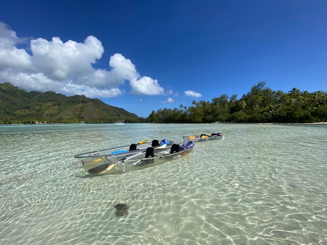 LAGOON EXPLORER MOOREA