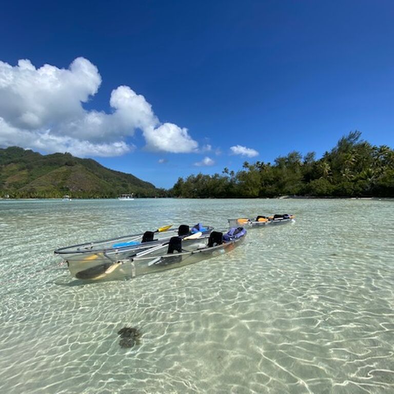 LAGOON EXPLORER MOOREA