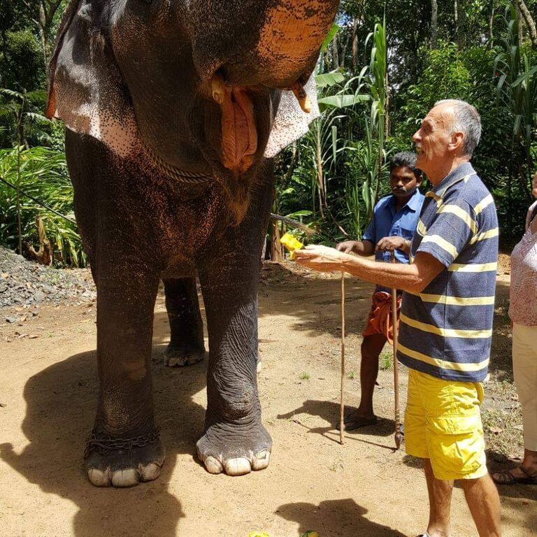 SMART INDIA TOURS