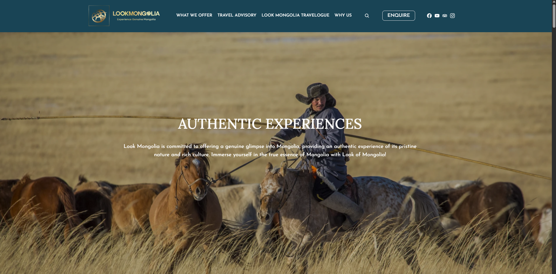 Look Mongolia