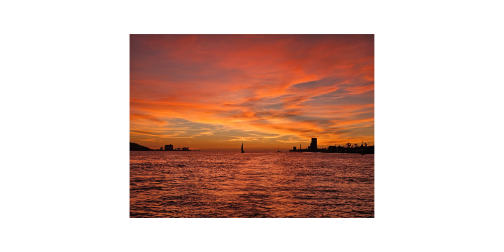 DiscoverOasis Boat Tours