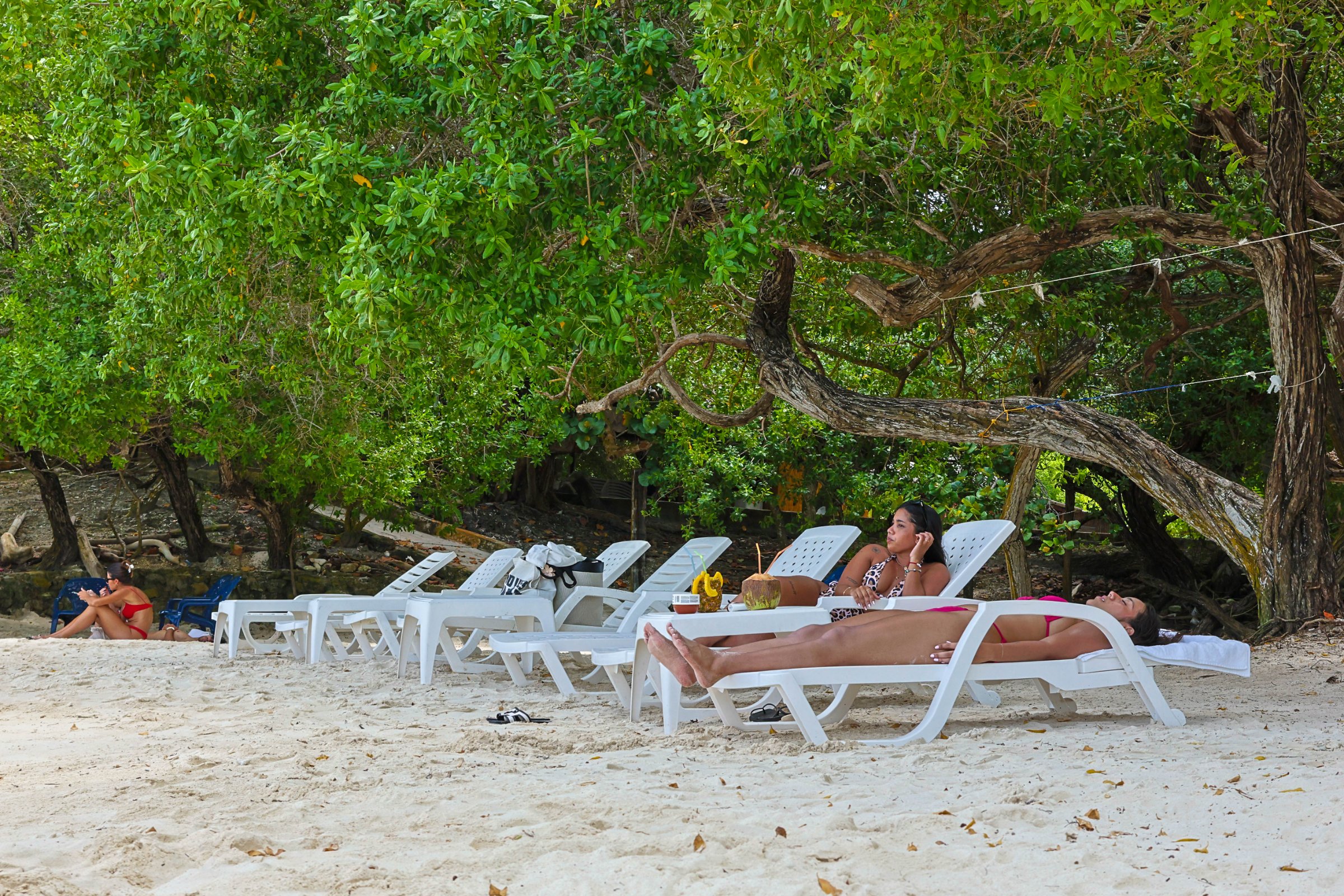 Dia de playa hotel coral sand
