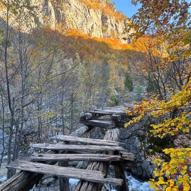 Alps Adventures