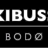 Bodø Minibuss
