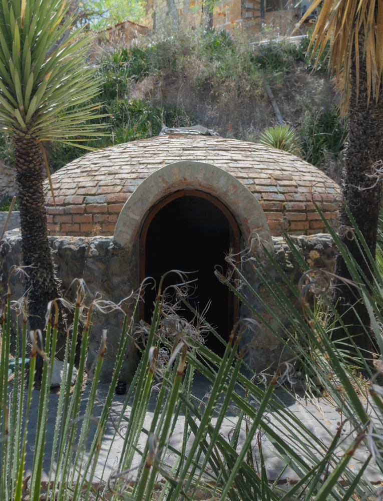 Armadillo Mágico