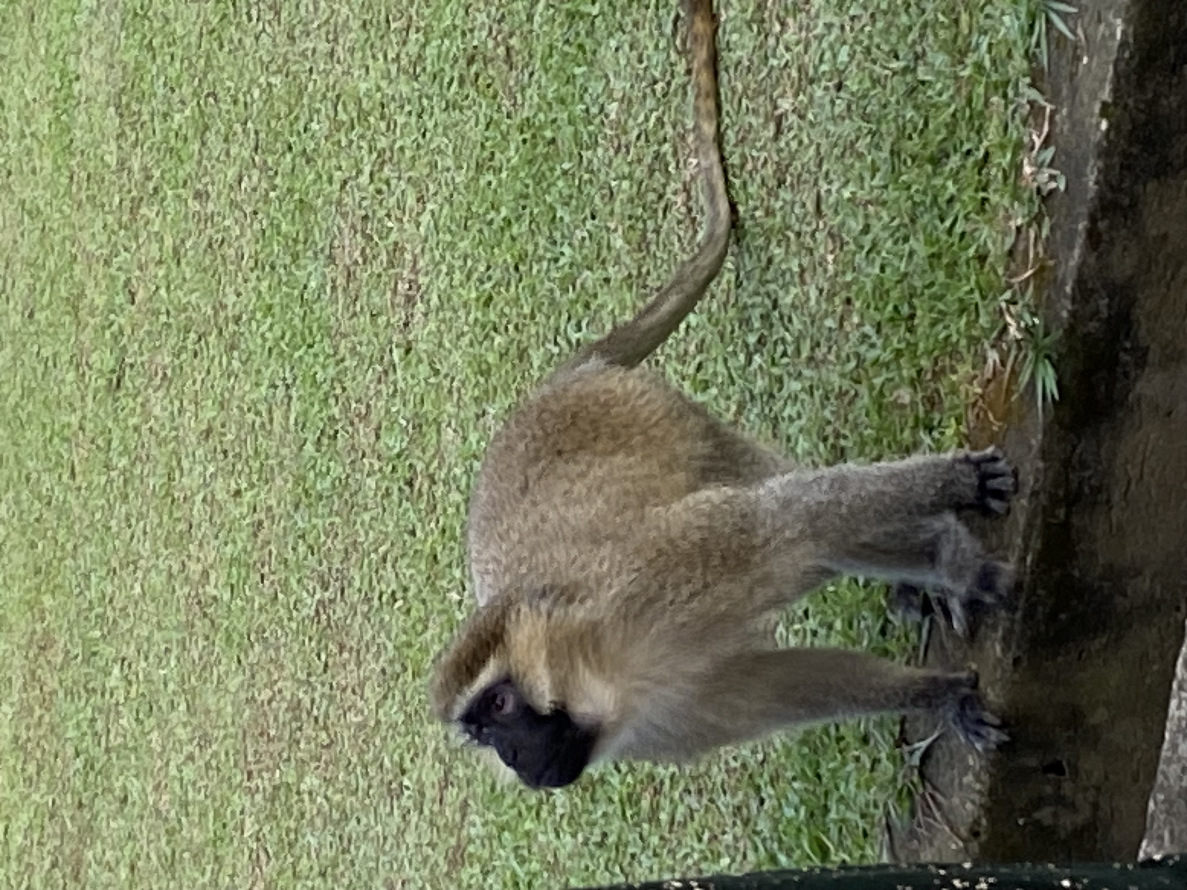 Gi Voyage Travel & Tours