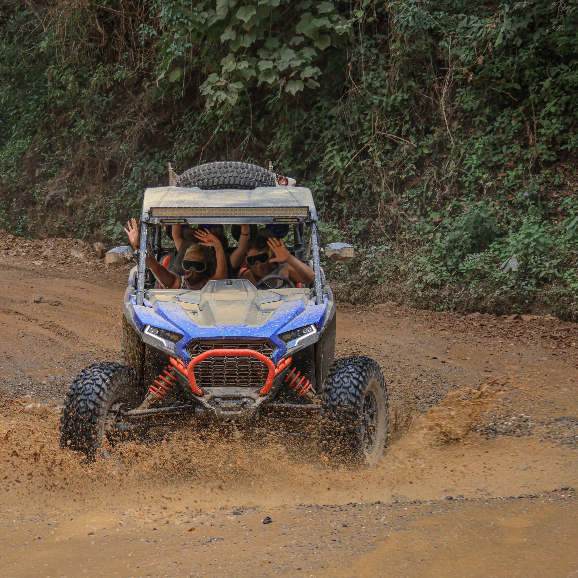 Dirty Monkey Adventure