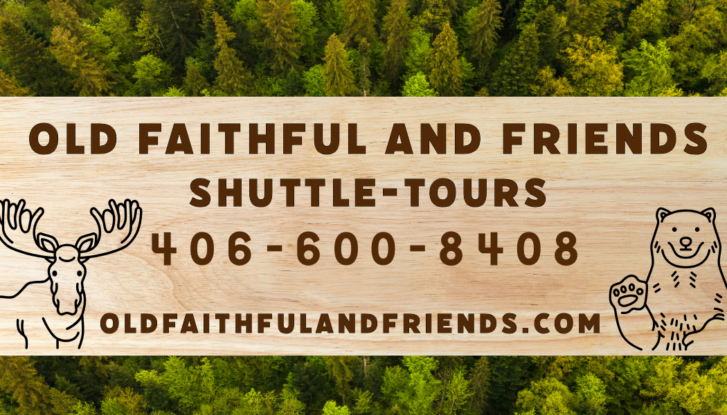 Old Faithful and Friends