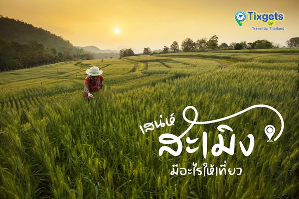 Travel Up Thailand co.,ltd.