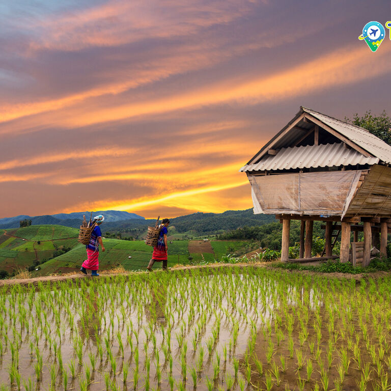 Travel Up Thailand co.,ltd.