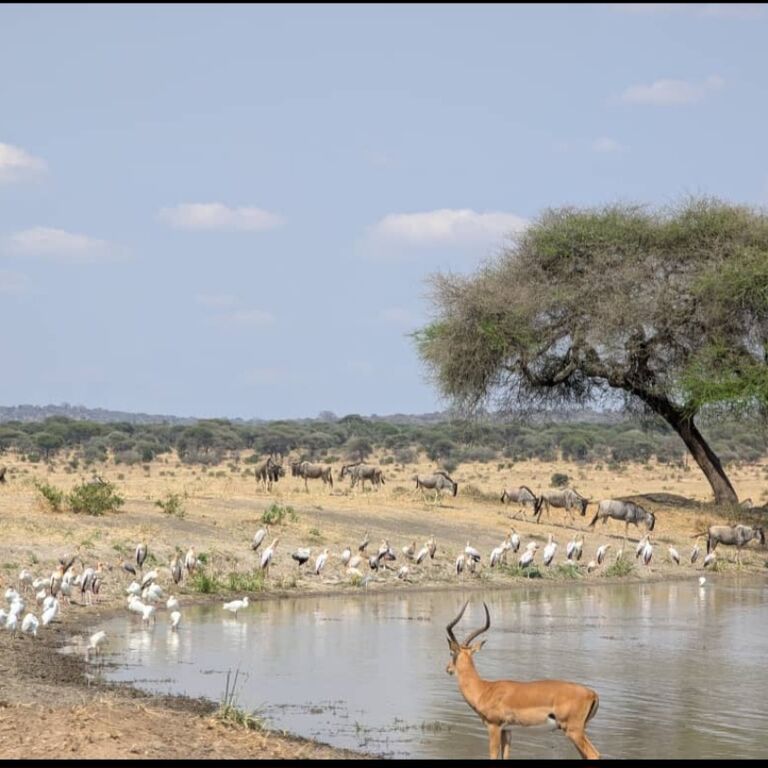 Trekking Africa adventures