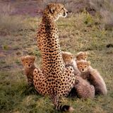 Trekking Africa adventures