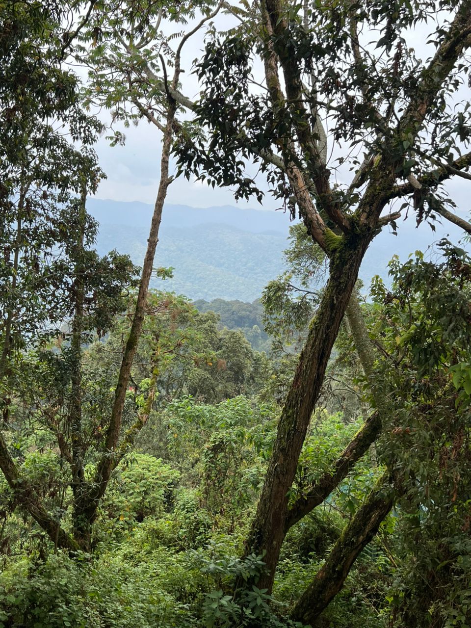 Beyond The Hills Tours