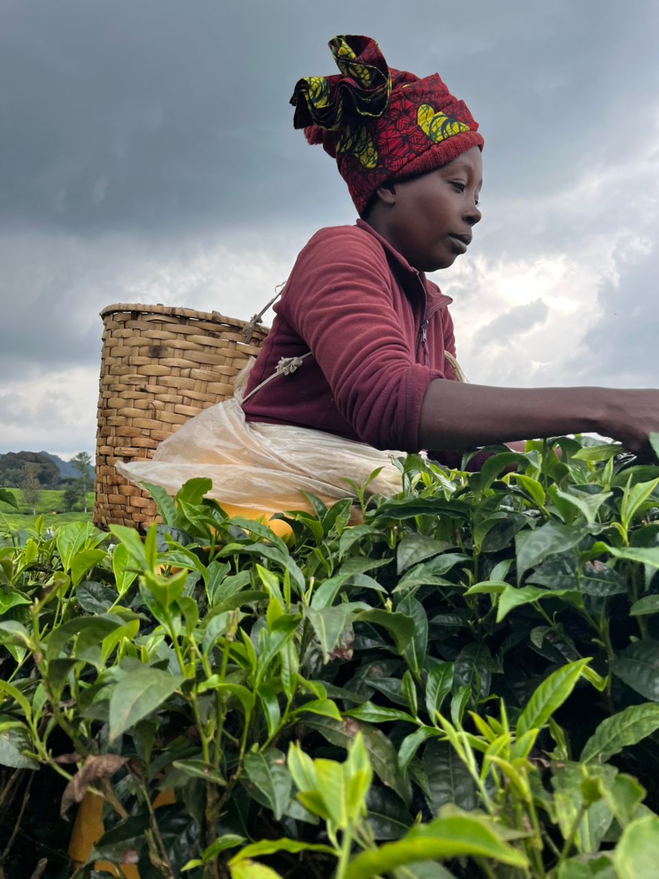 Beyond The Hills Tours