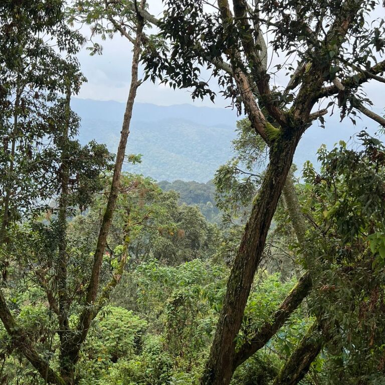 Beyond The Hills Tours