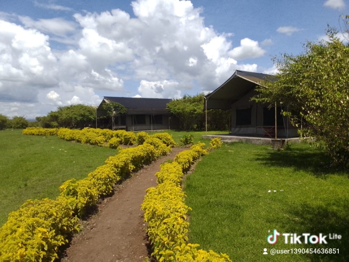 Blessed camp masai mara
